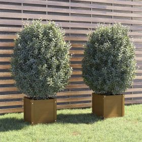 Planter Set of 2 Honey Brown Solid Pinewood Standard Planters